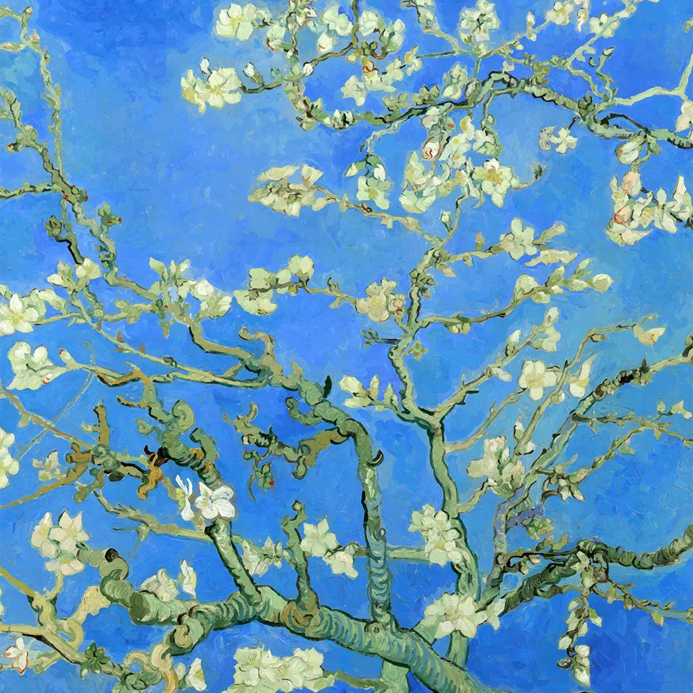 Almond Branches Duvet Cover