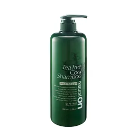 Daeng Gi Meo Ri Natural on Tea Tree Cool Shampoo