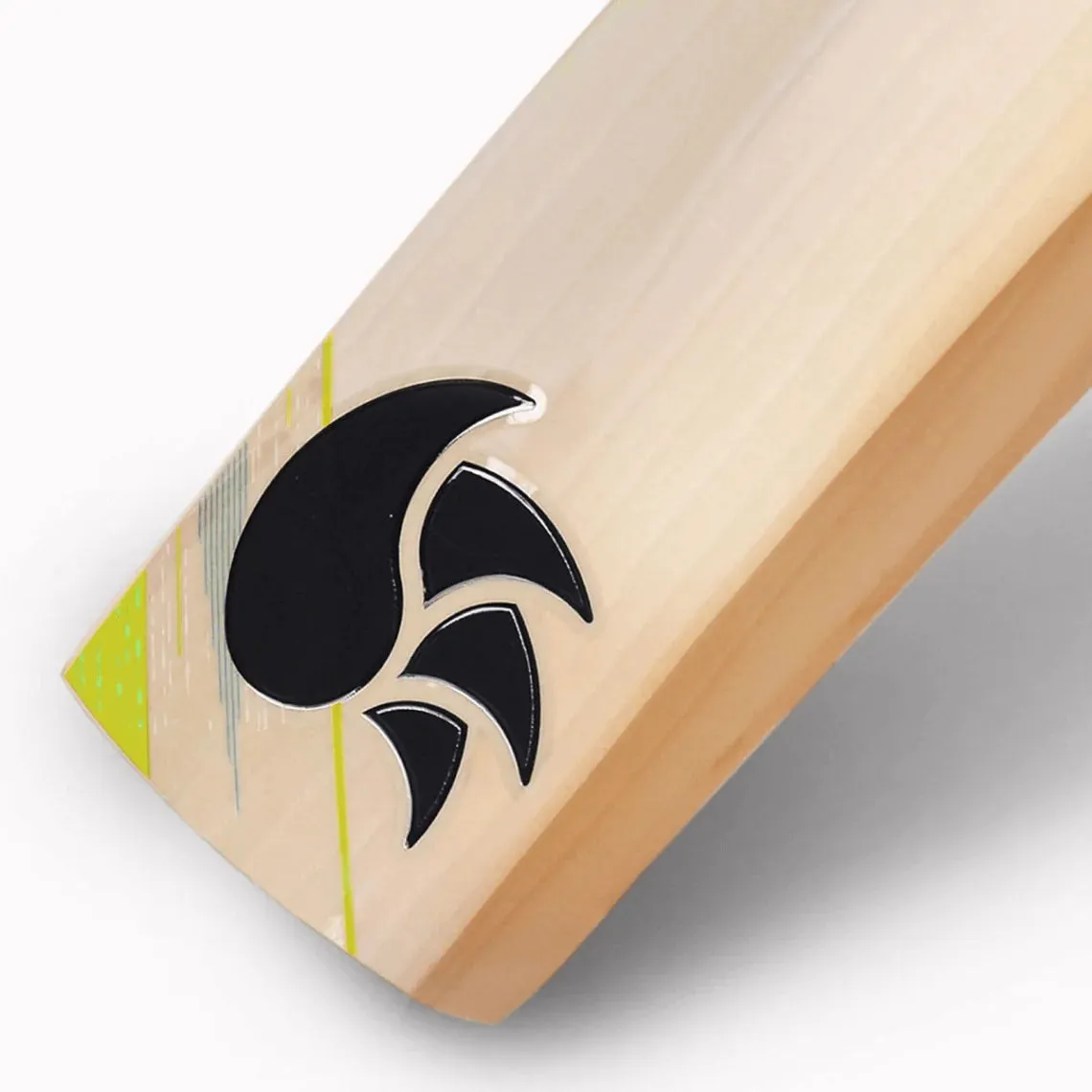 DSC Condor Pro English Willow Cricket Bat -SH
