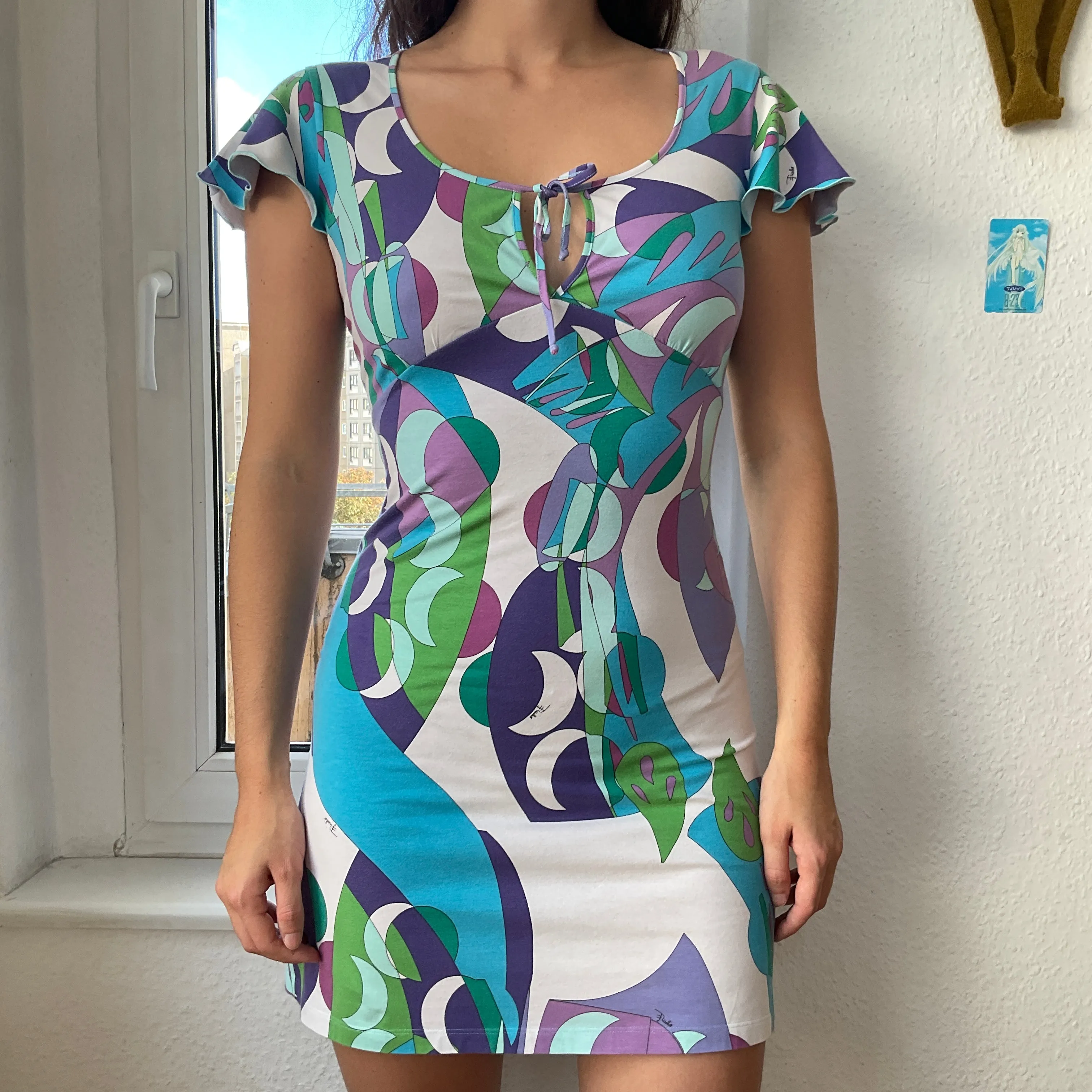       Emilio Pucci dress    