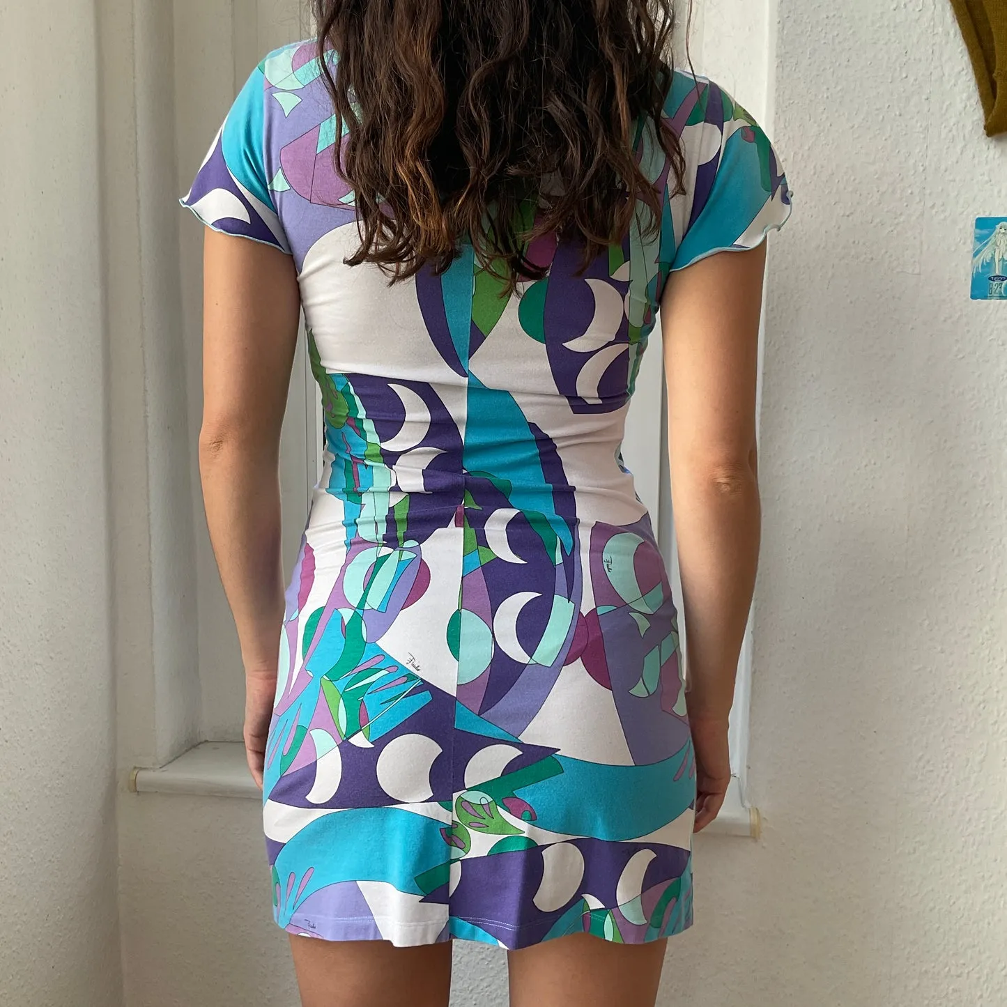       Emilio Pucci dress    