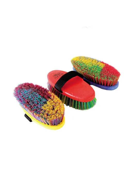 Haas Ladies Brush Assorted Colours