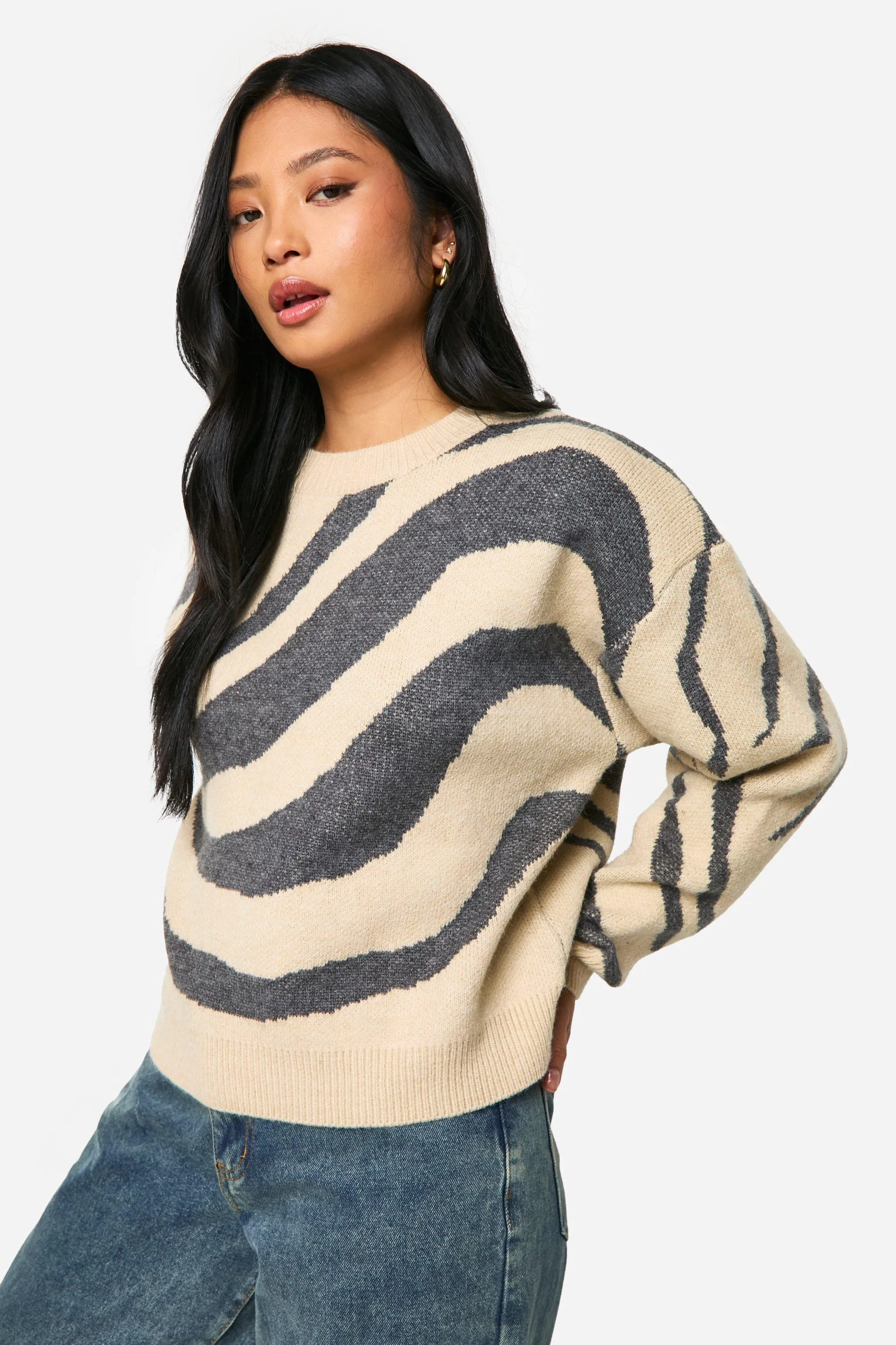 Petite Jacquard Swirl Knitted Sweater