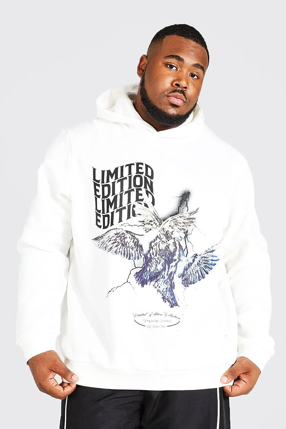 Plus Lightening Dove Graphic Hoodie