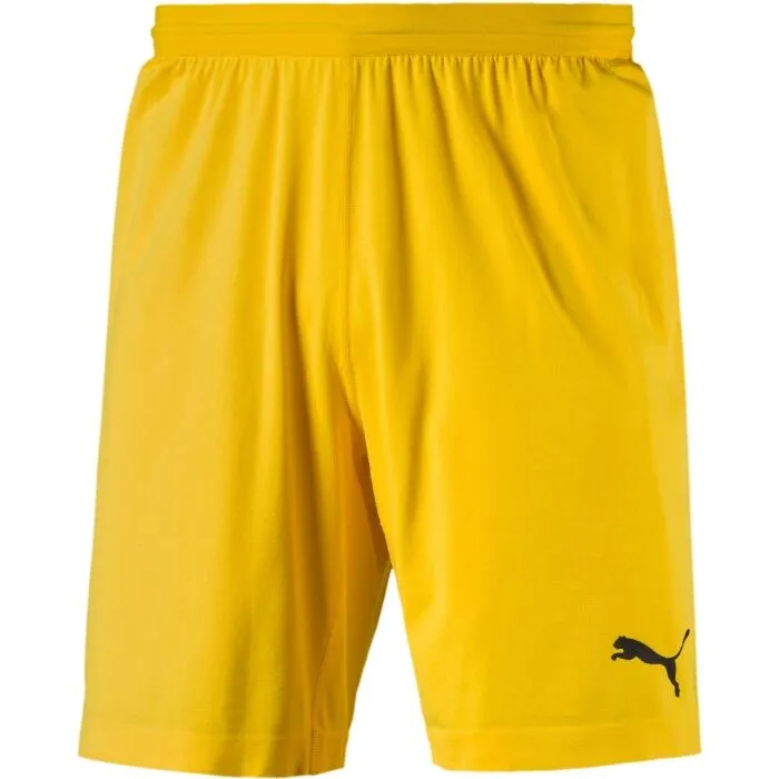 Puma FINAL evoKNIT GK Shorts